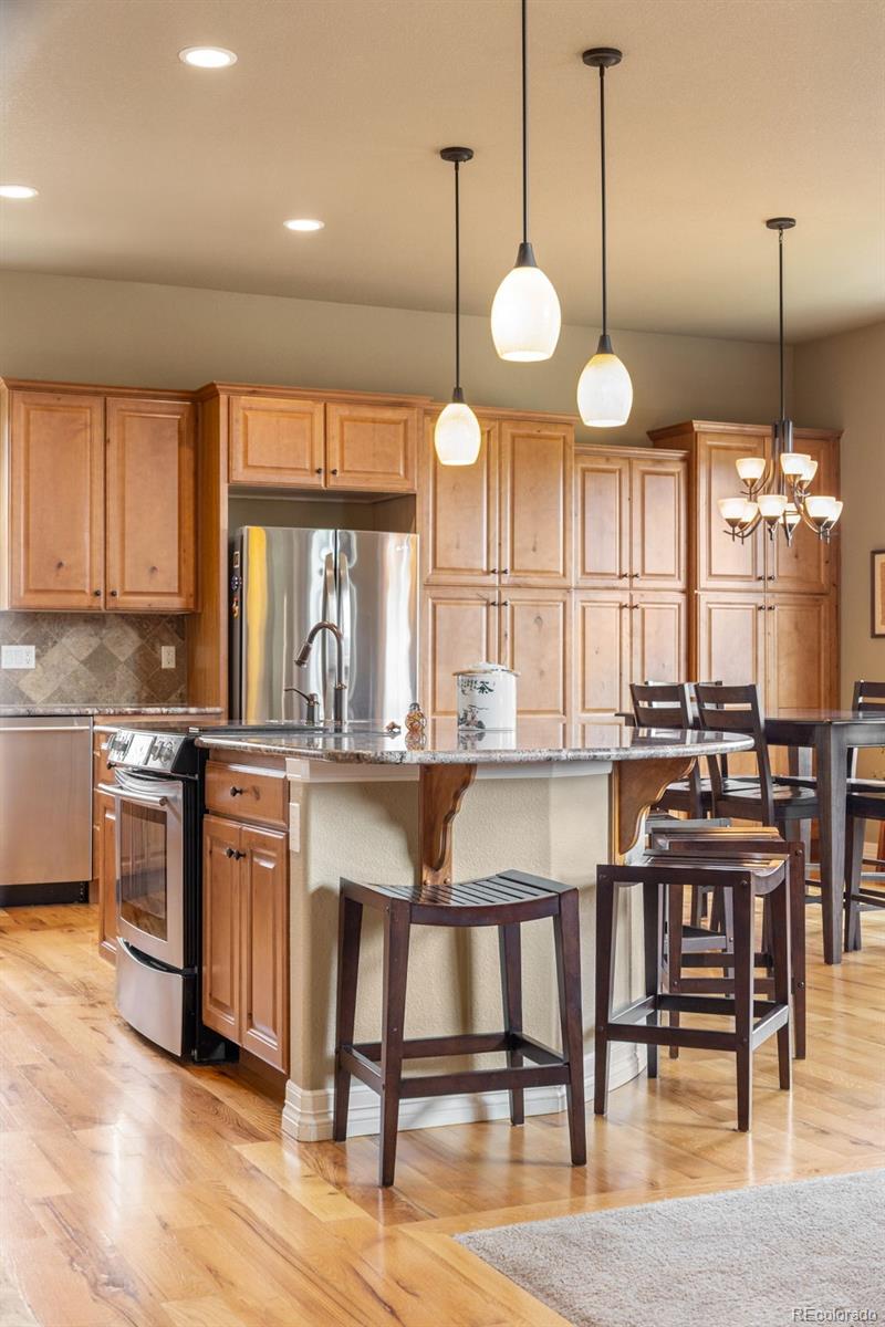 MLS Image #12 for 10618  clarkeville way,parker, Colorado
