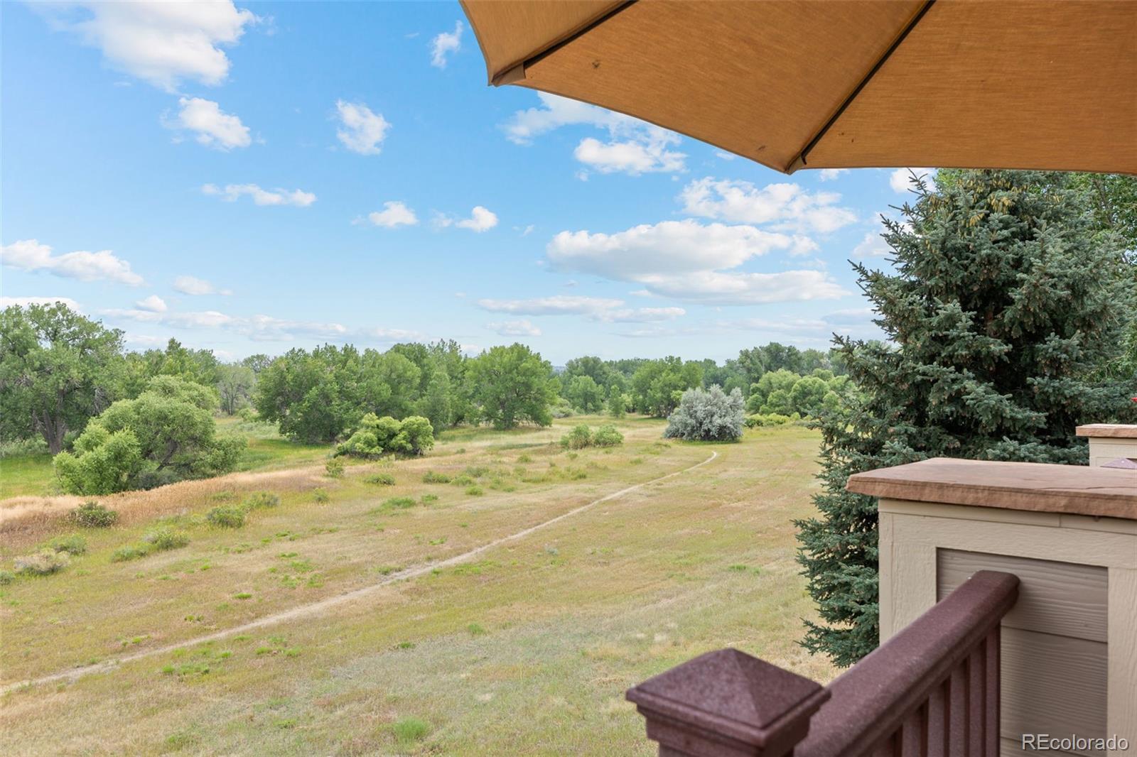 MLS Image #17 for 10618  clarkeville way,parker, Colorado