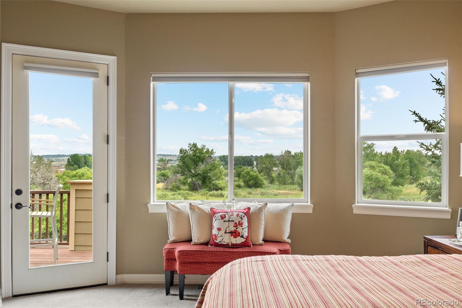MLS Image #19 for 10618  clarkeville way,parker, Colorado