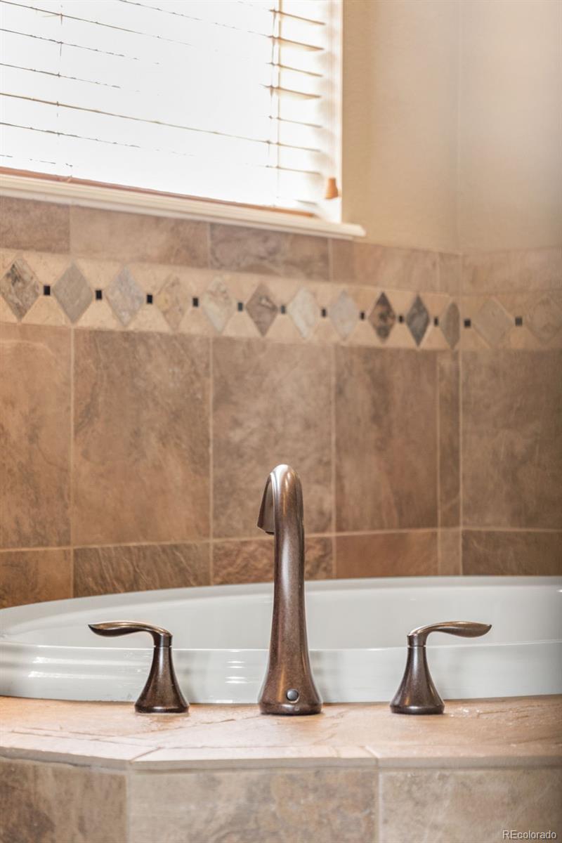MLS Image #21 for 10618  clarkeville way,parker, Colorado