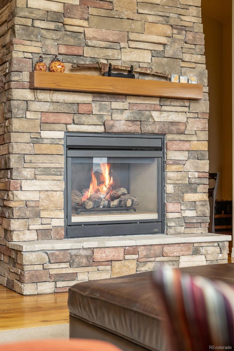 MLS Image #9 for 10618  clarkeville way,parker, Colorado