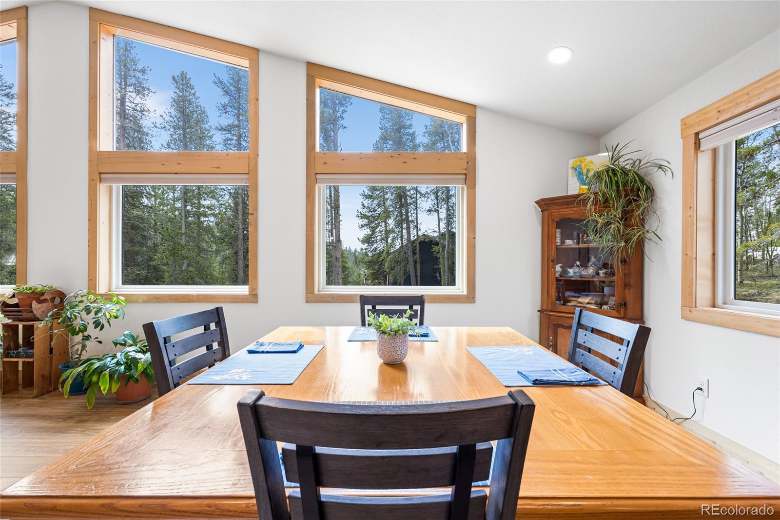 MLS Image #10 for 94  foxtail circle,black hawk, Colorado