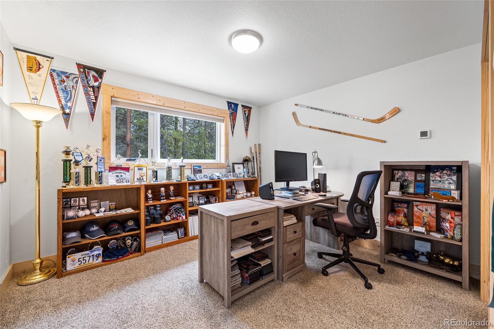 MLS Image #9 for 94  foxtail circle,black hawk, Colorado