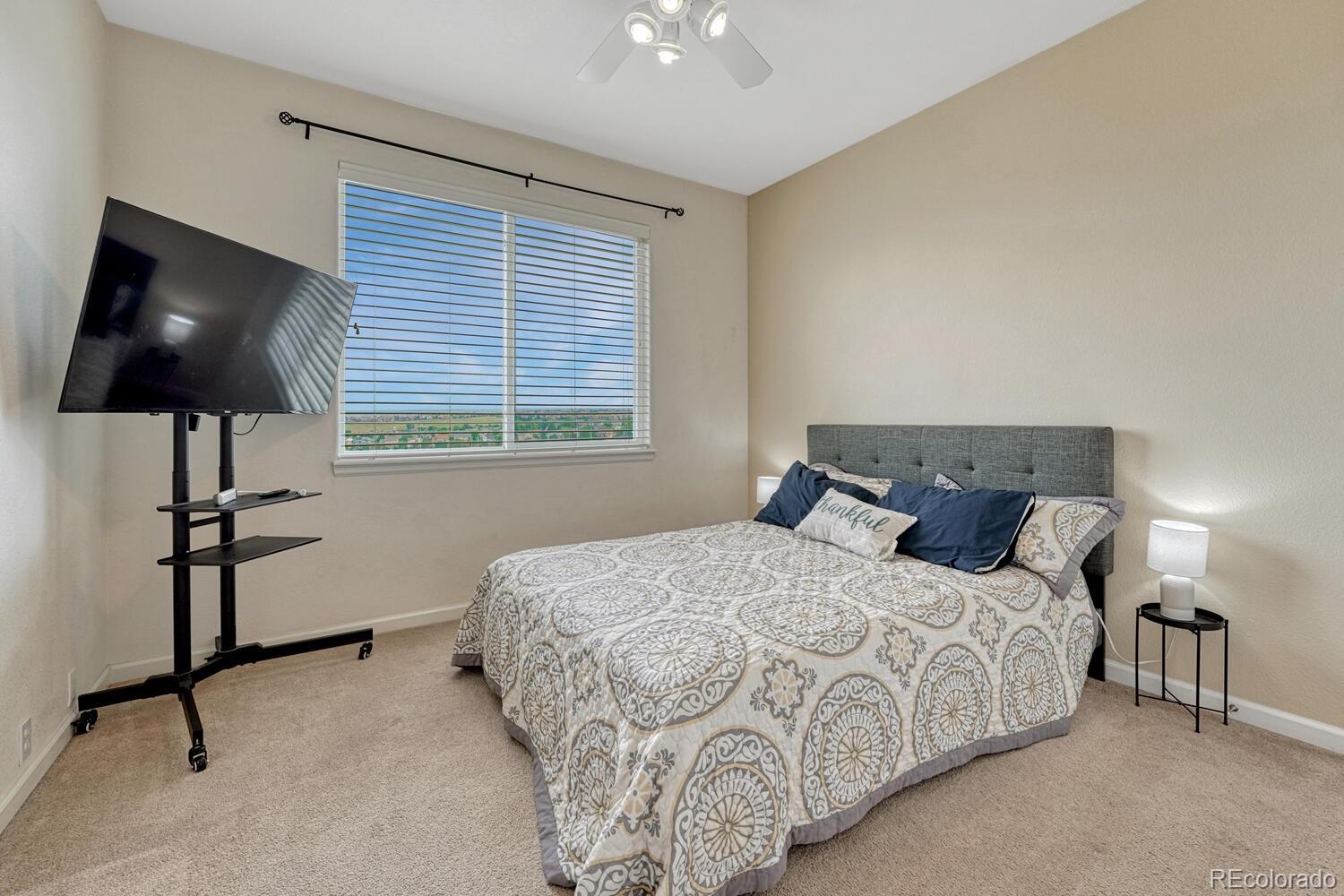 MLS Image #20 for 3548  shady rock drive,colorado springs, Colorado