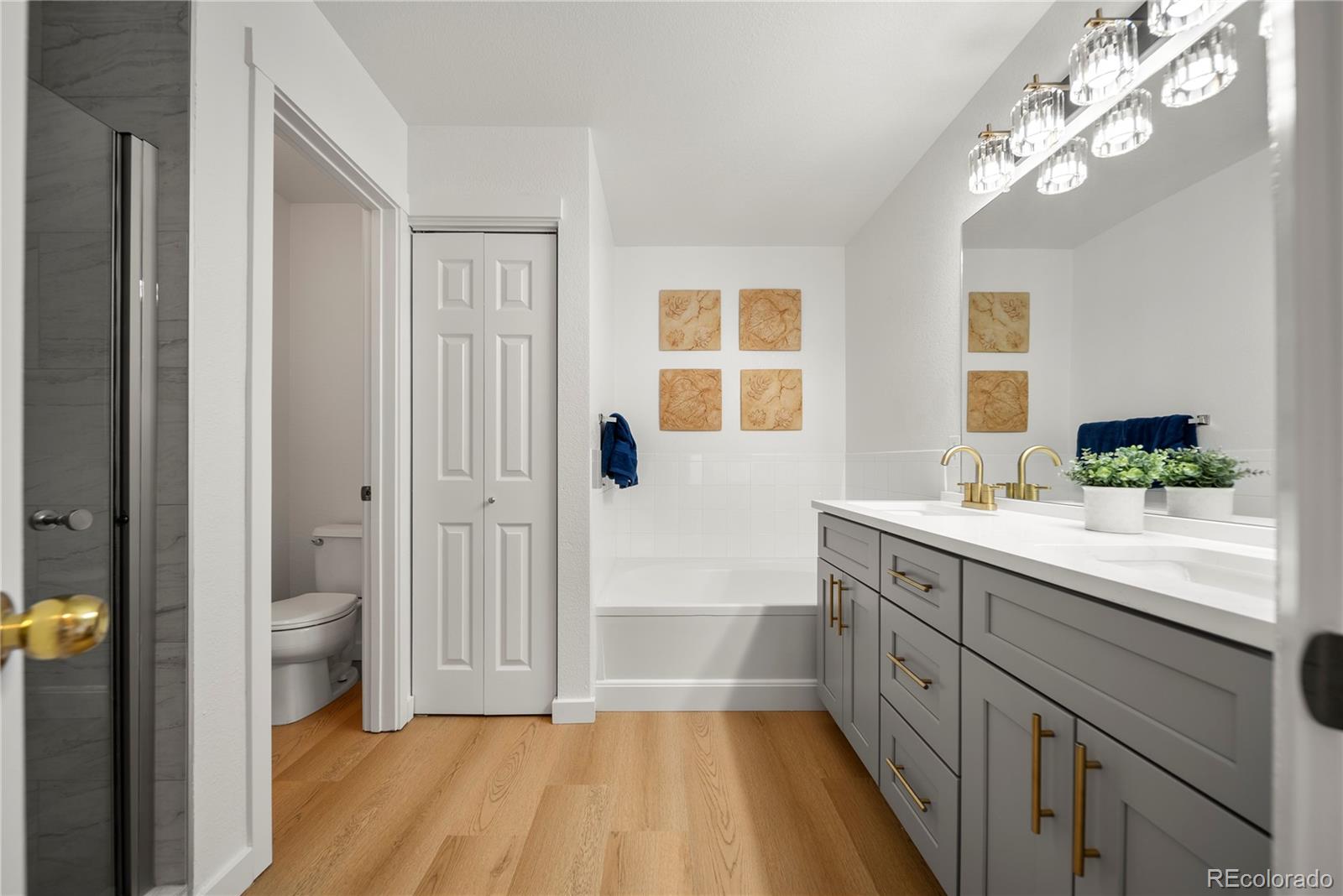 MLS Image #10 for 6428  silver mesa drive,highlands ranch, Colorado