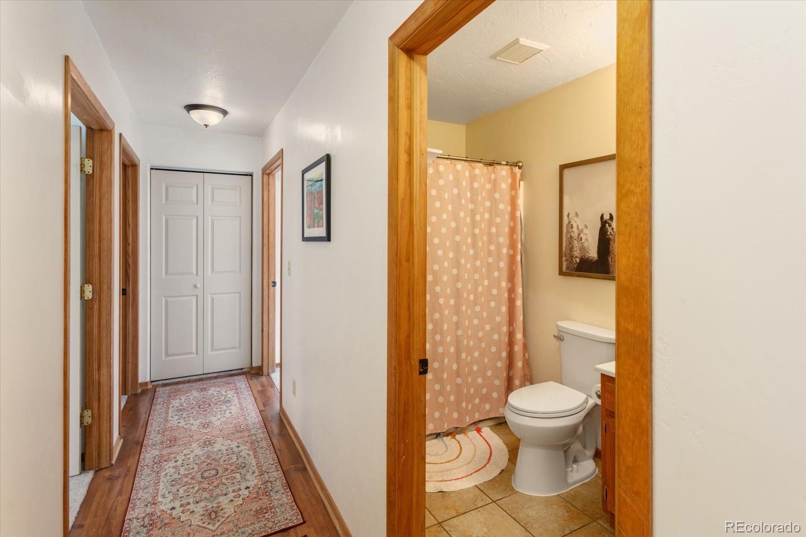 MLS Image #16 for 20  rex circle,salida, Colorado