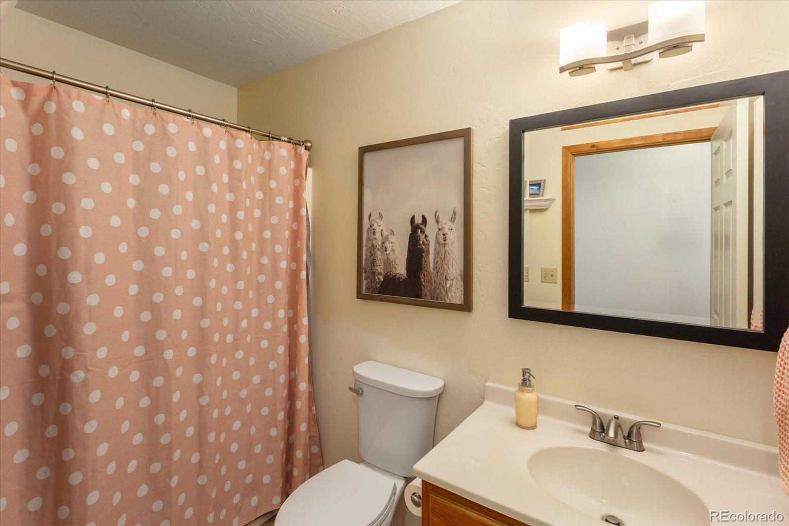 MLS Image #17 for 20  rex circle,salida, Colorado