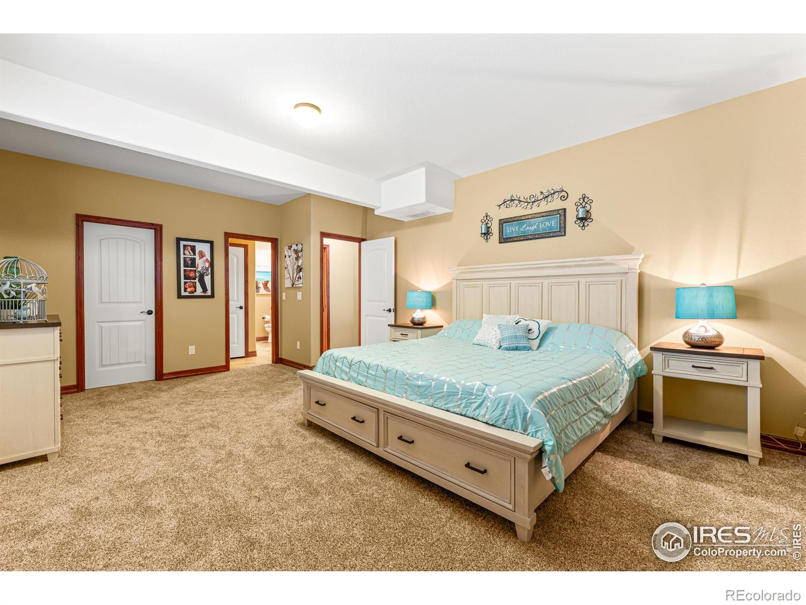 MLS Image #28 for 5836  stone chase drive,windsor, Colorado