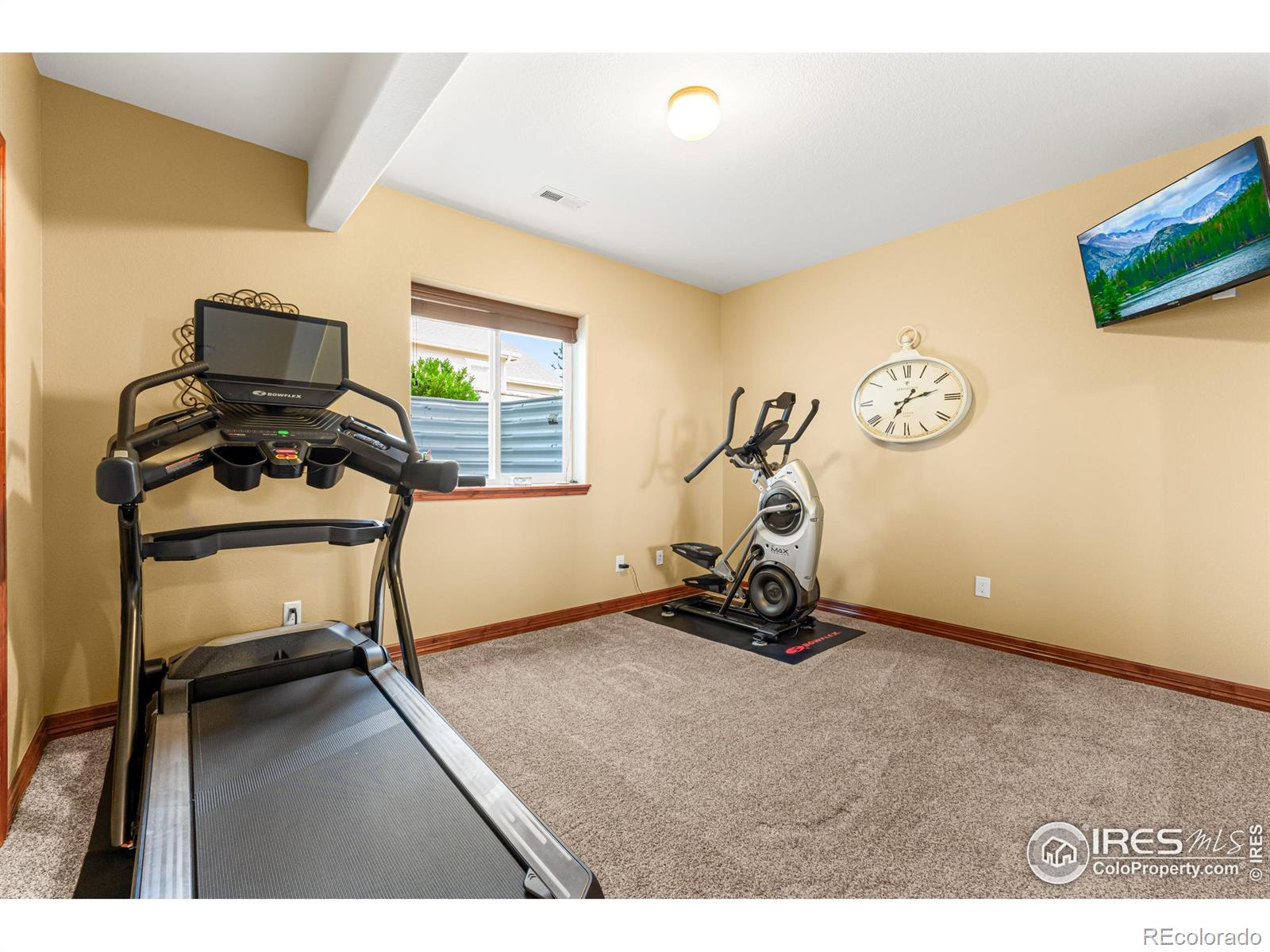 MLS Image #30 for 5836  stone chase drive,windsor, Colorado