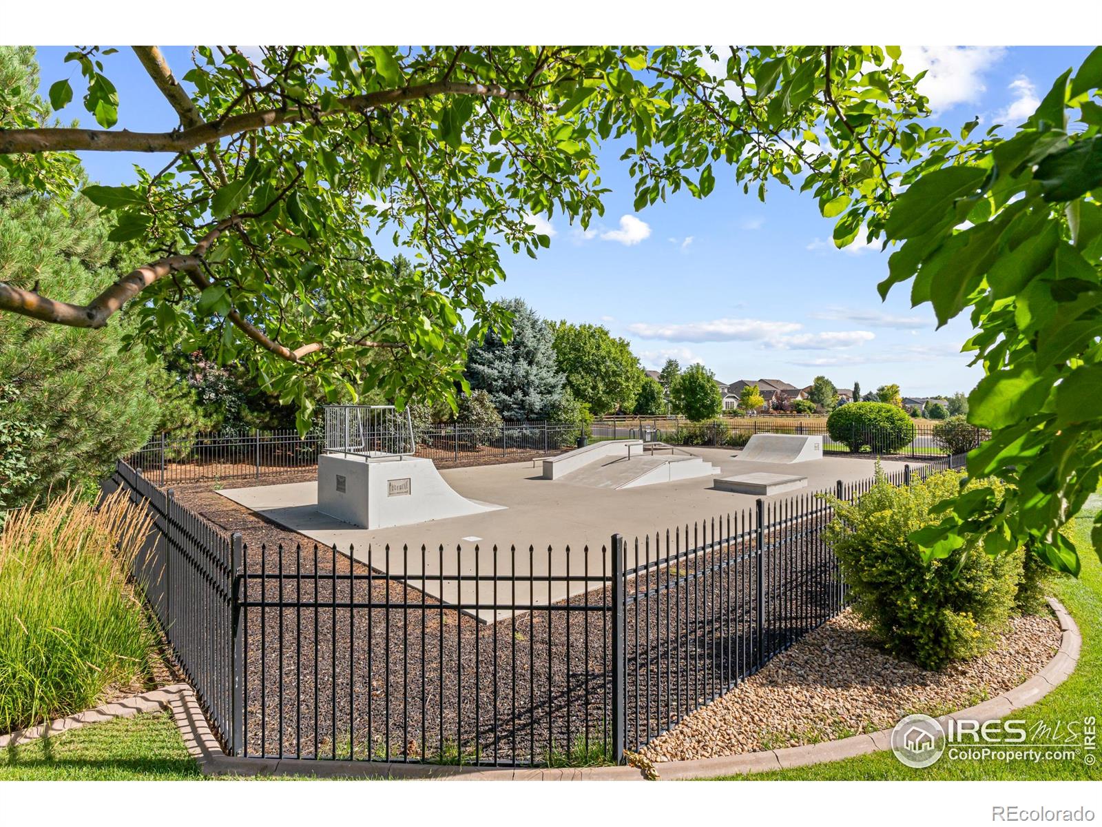 MLS Image #39 for 5836  stone chase drive,windsor, Colorado