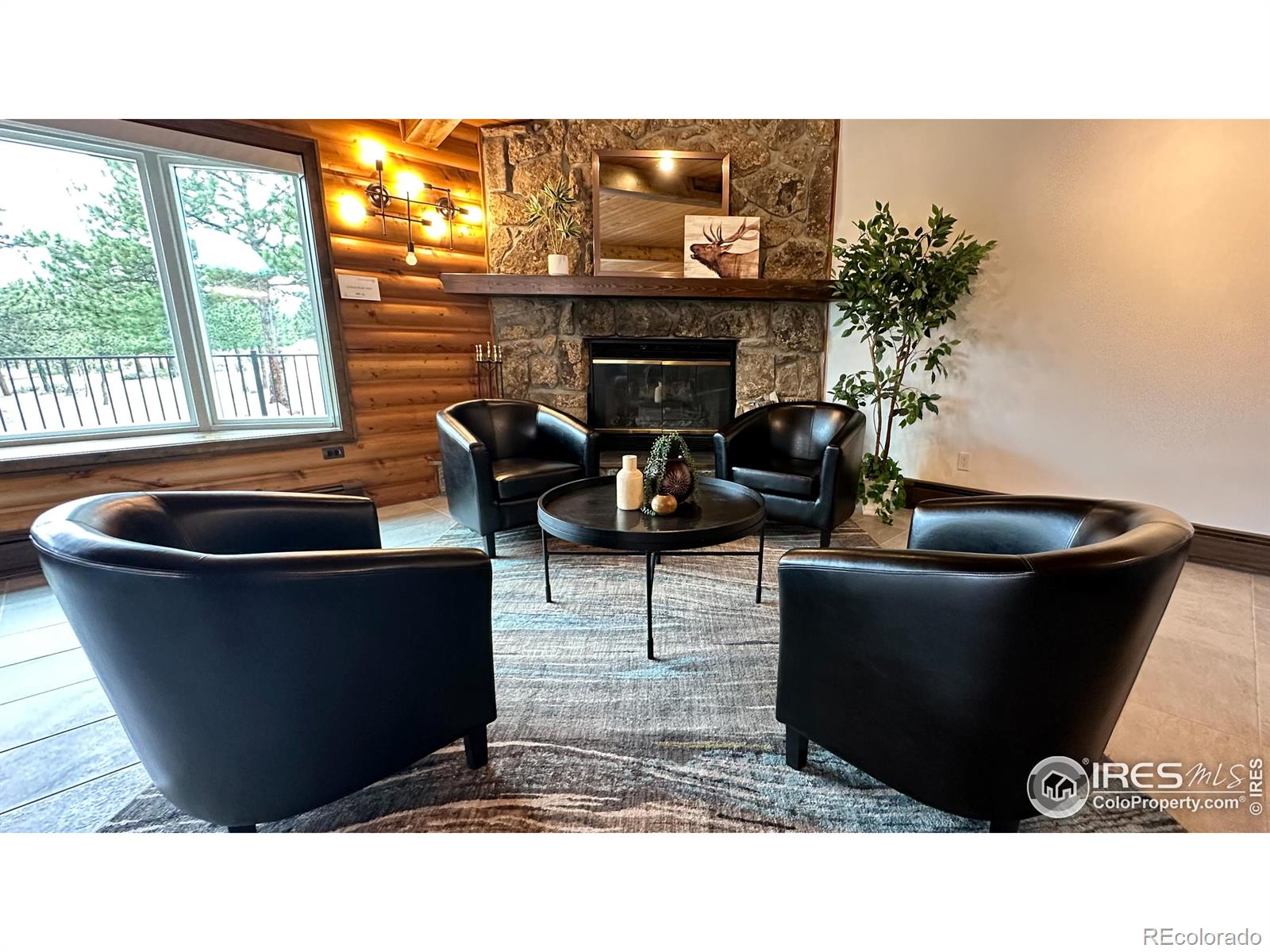 MLS Image #7 for 871  east lane,estes park, Colorado