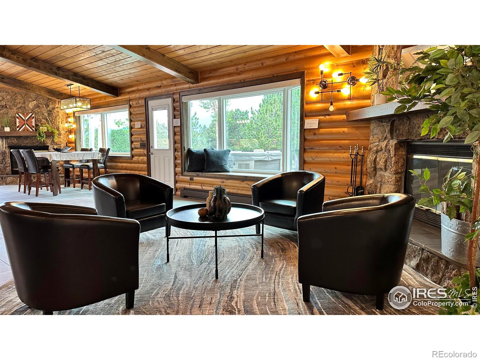 MLS Image #9 for 871  east lane,estes park, Colorado