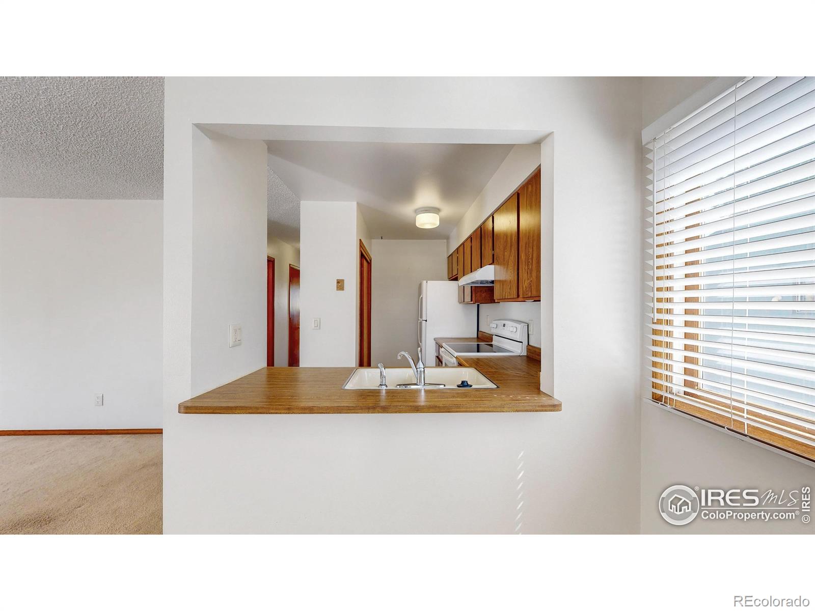 MLS Image #12 for 312  butch cassidy drive,fort collins, Colorado