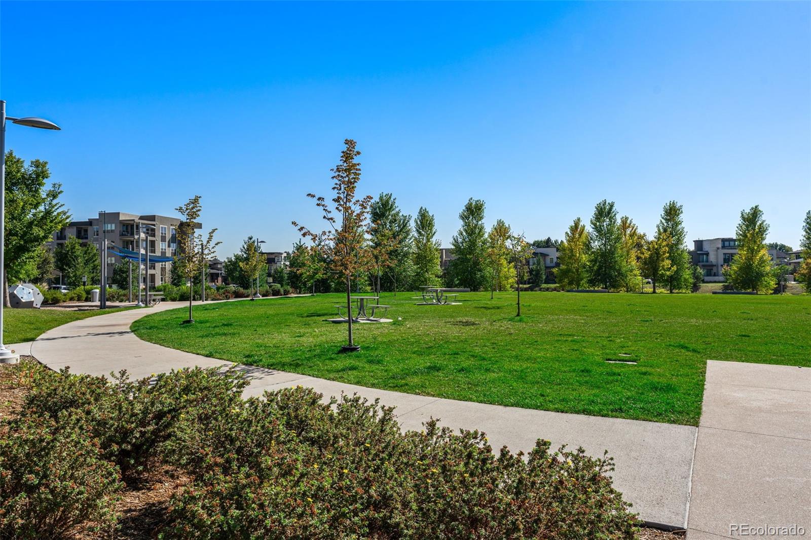 MLS Image #36 for 41  quince street,denver, Colorado