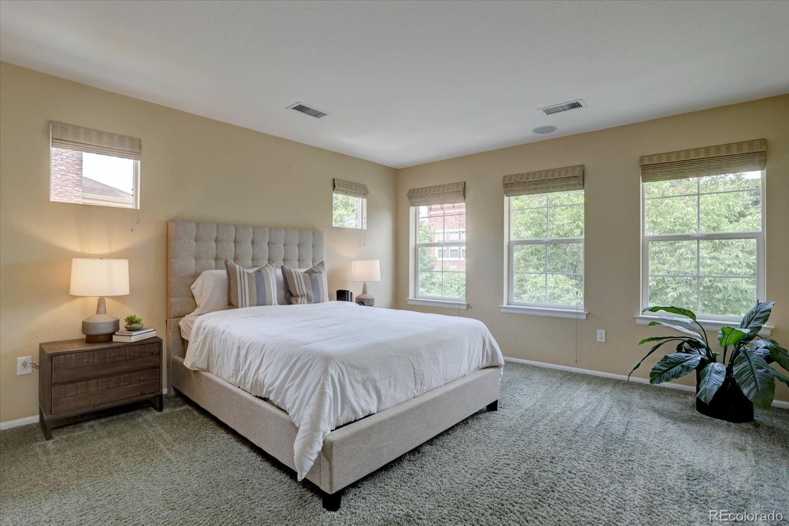 MLS Image #19 for 9511  elmhurst lane,highlands ranch, Colorado
