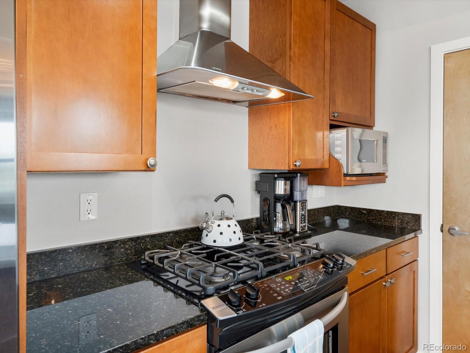 MLS Image #21 for 1313 s clarkson street,denver, Colorado