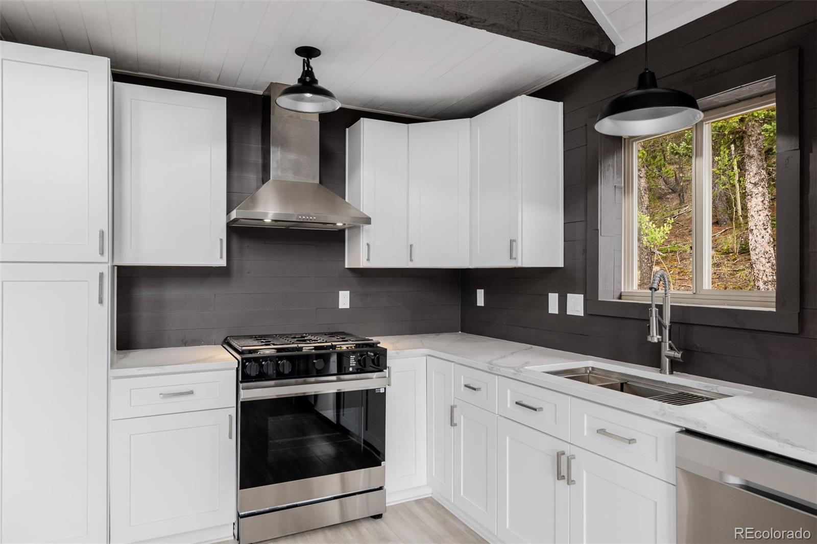 MLS Image #11 for 302  lakeview road,bailey, Colorado