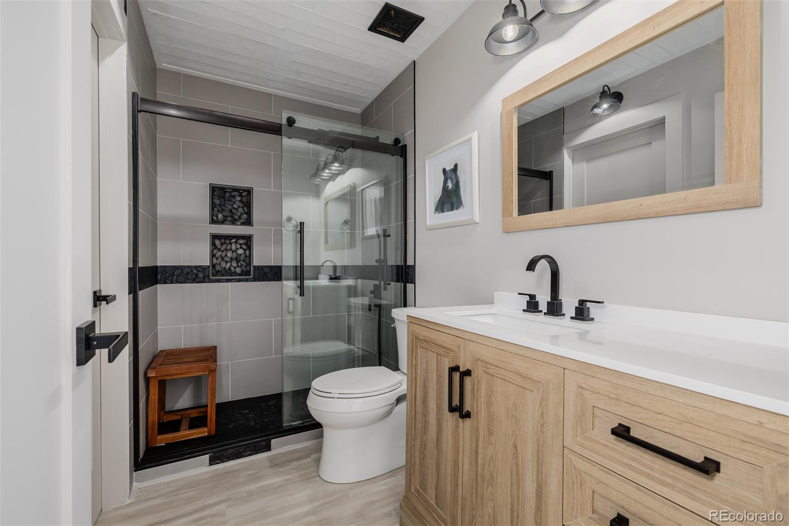 MLS Image #18 for 302  lakeview road,bailey, Colorado