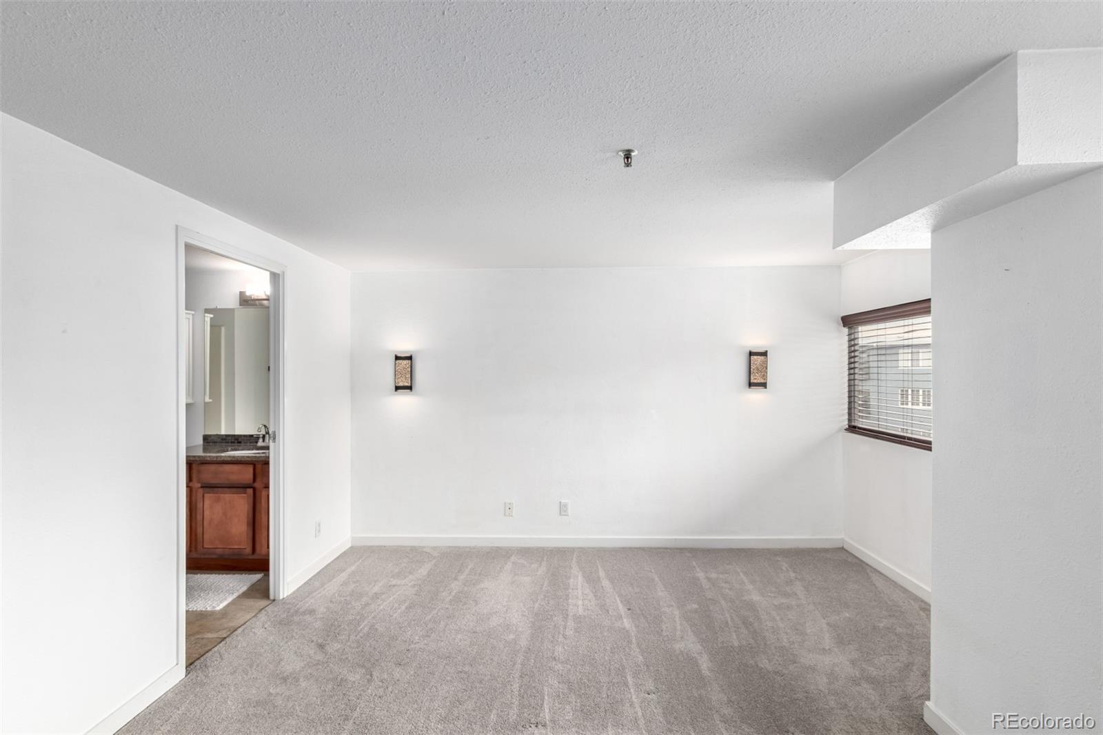 MLS Image #12 for 100  park avenue,denver, Colorado