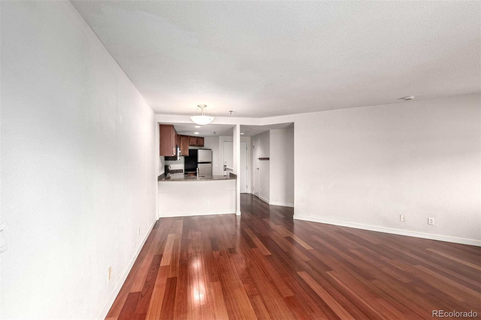 MLS Image #4 for 100  park avenue,denver, Colorado