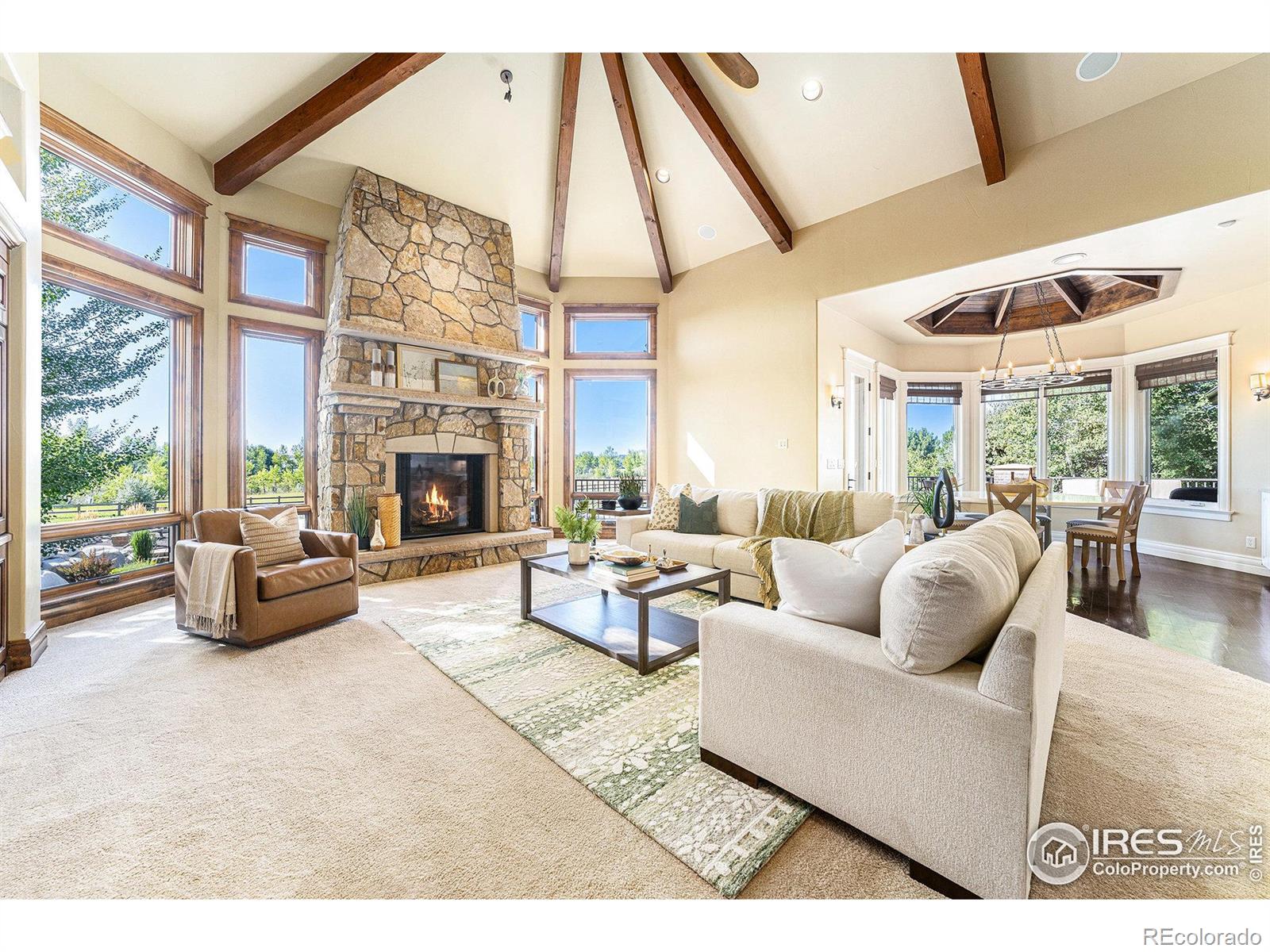 MLS Image #16 for 6344  rookery road,fort collins, Colorado