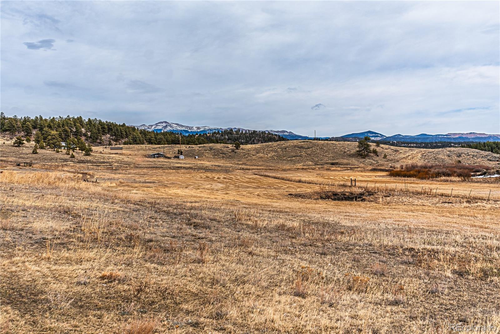 MLS Image #3 for 36  valley circle,guffey, Colorado
