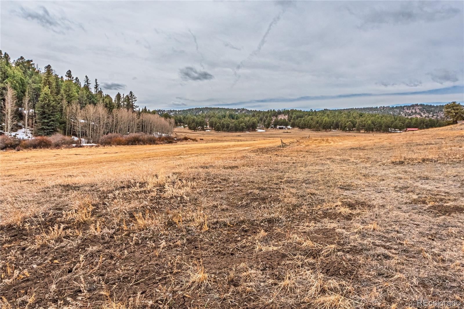 MLS Image #4 for 36  valley circle,guffey, Colorado