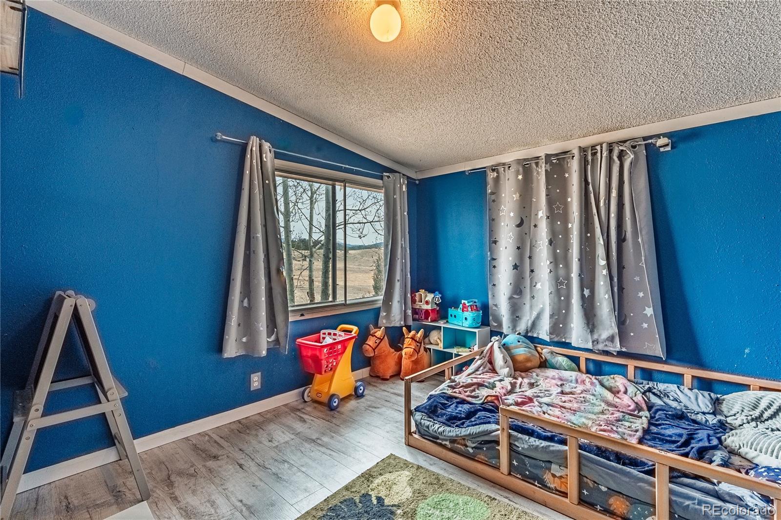 MLS Image #9 for 36  valley circle,guffey, Colorado