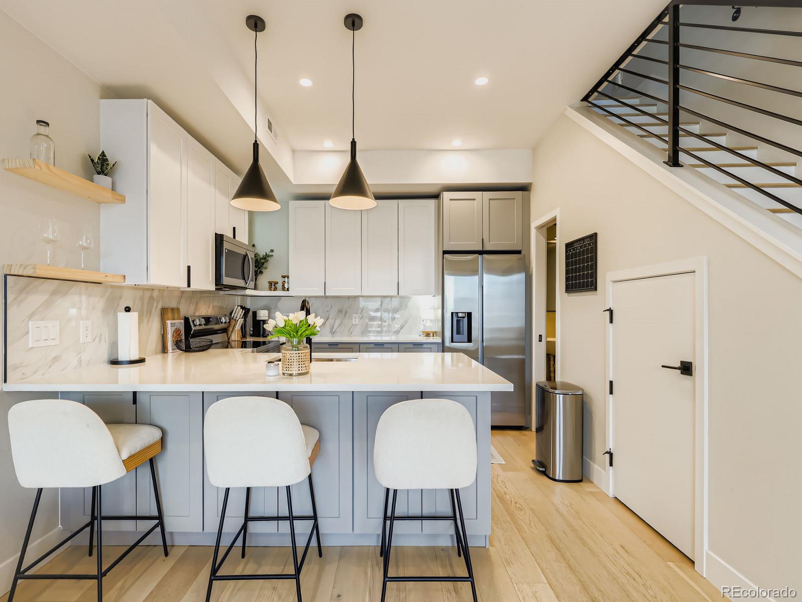 MLS Image #1 for 1921 w elk place,denver, Colorado