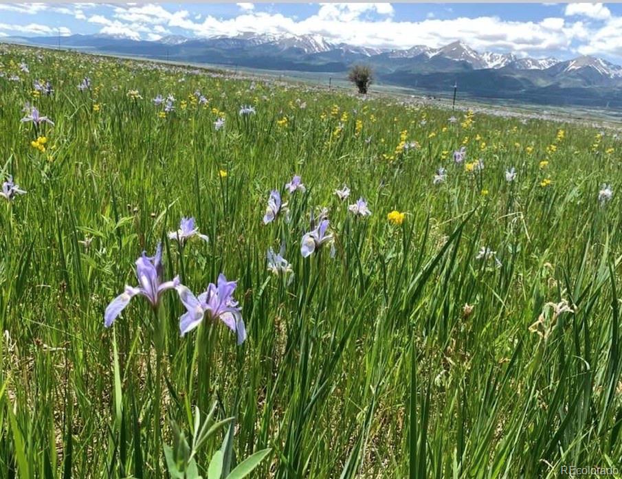 MLS Image #48 for 2680  wild bill blvd ,westcliffe, Colorado