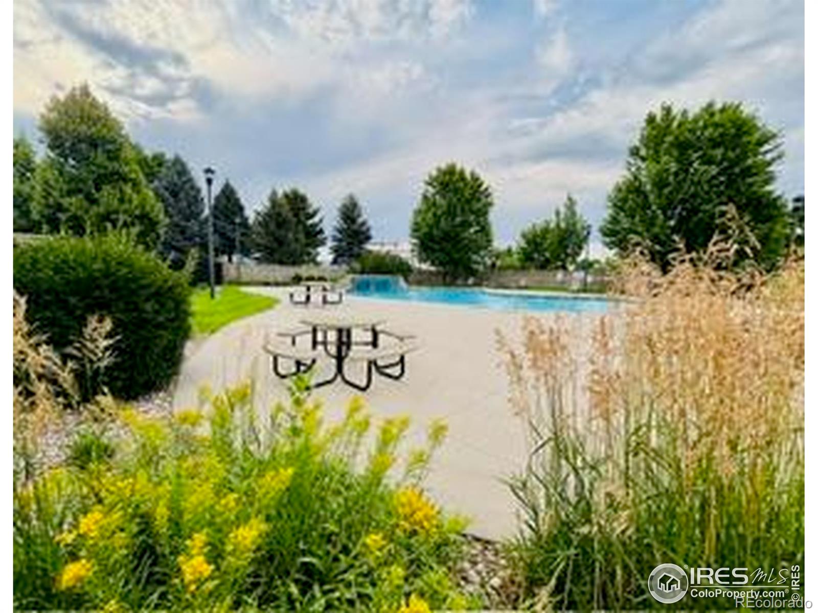 MLS Image #19 for 2308  owens avenue,fort collins, Colorado
