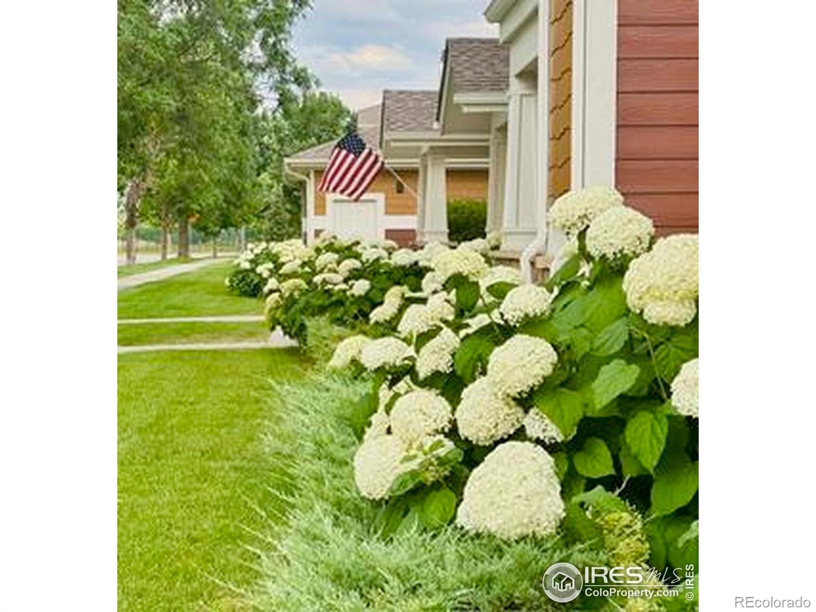 MLS Image #4 for 2308  owens avenue,fort collins, Colorado