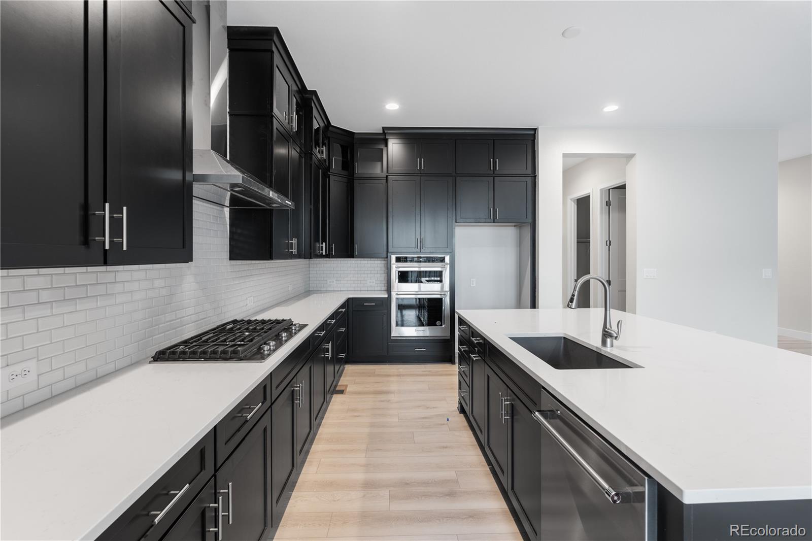 MLS Image #17 for 11472  autumn moon street,littleton, Colorado