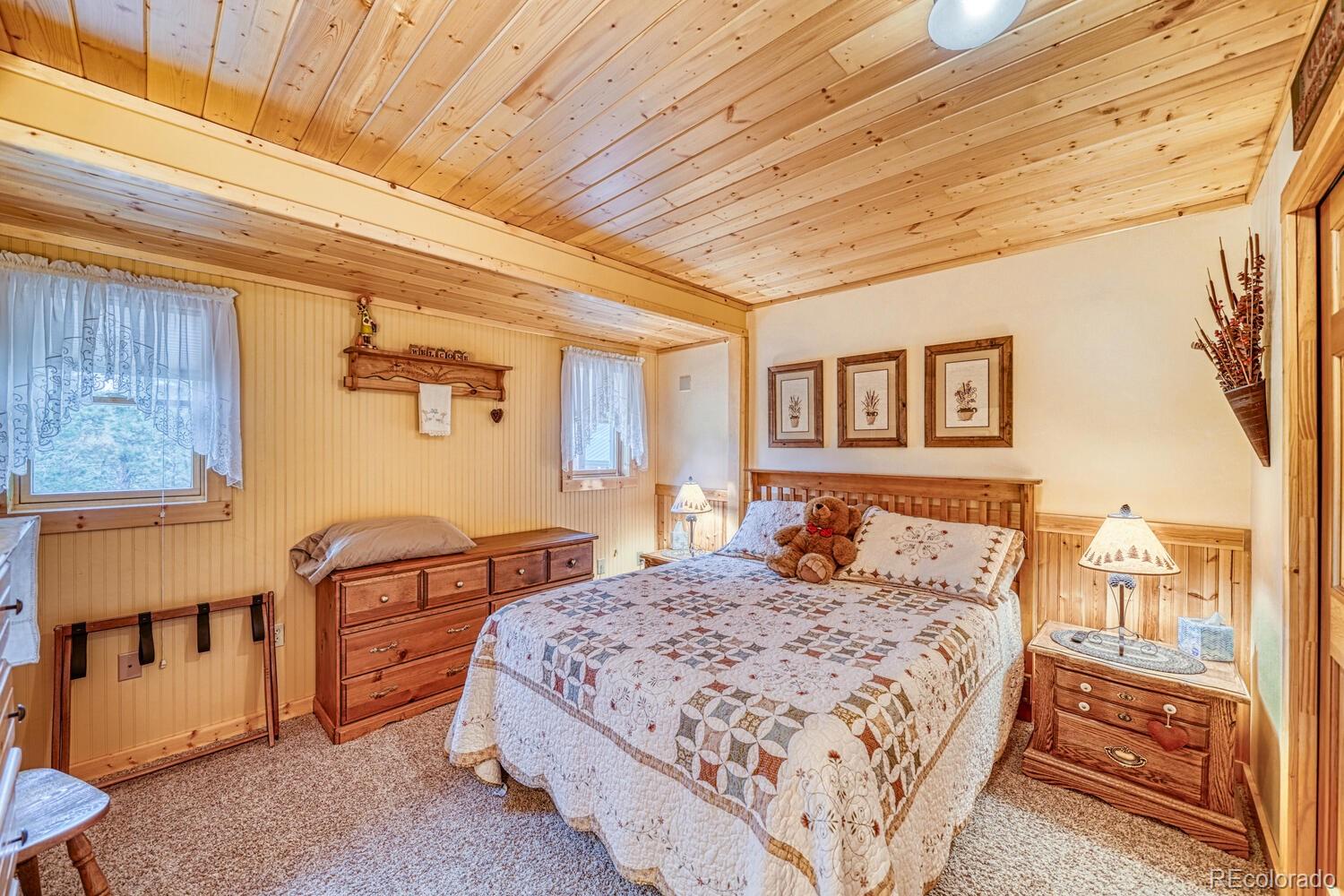 MLS Image #19 for 136 s ben eaton lane,westcliffe, Colorado