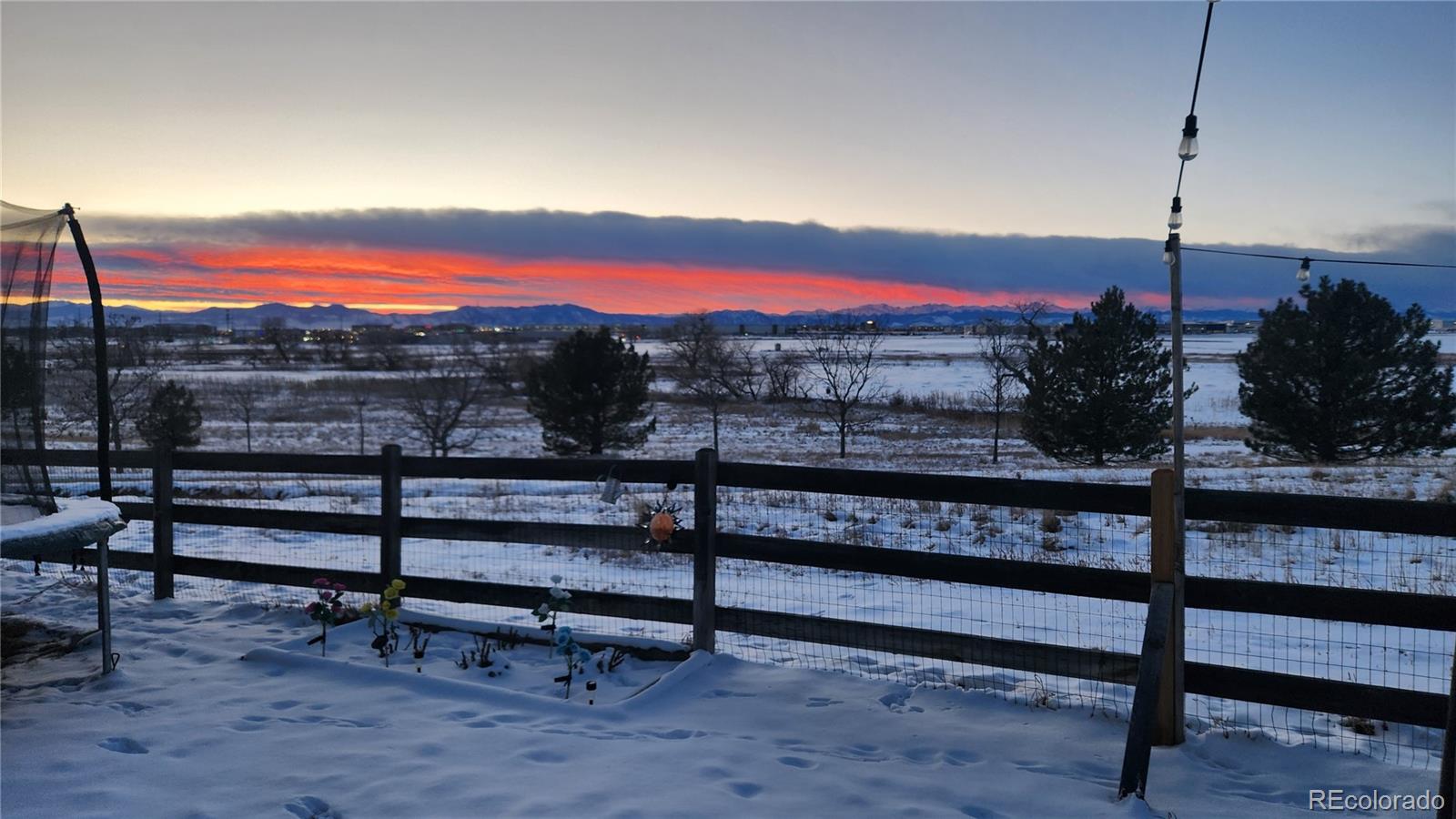 MLS Image #11 for 14685  williams street,thornton, Colorado