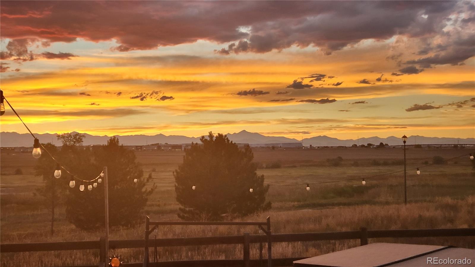 MLS Image #17 for 14685  williams street,thornton, Colorado