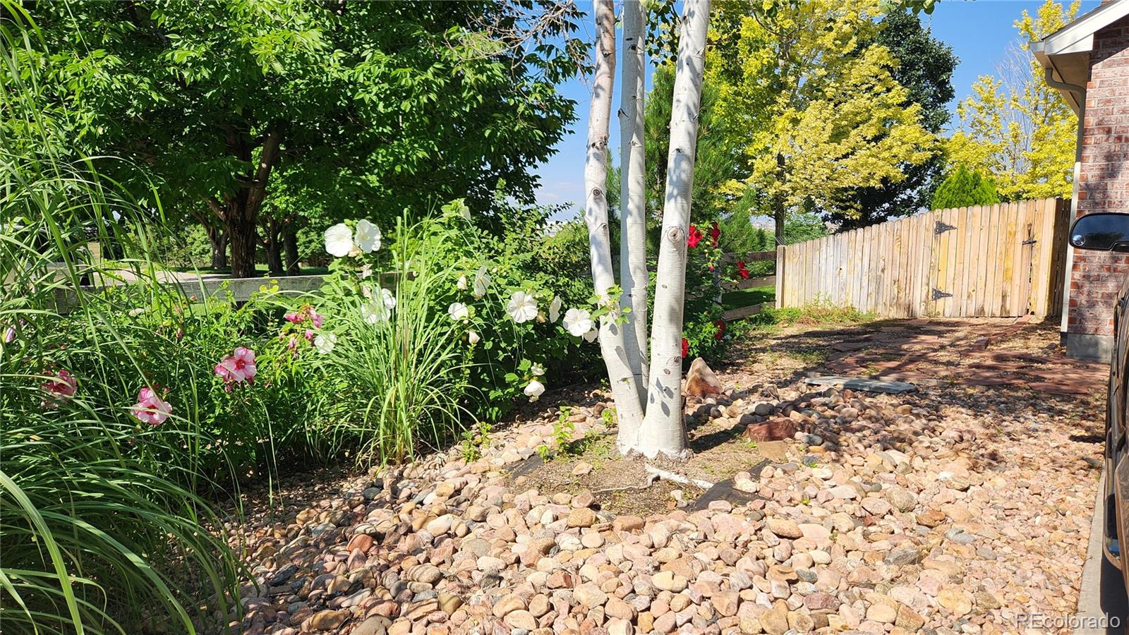MLS Image #20 for 14685  williams street,thornton, Colorado