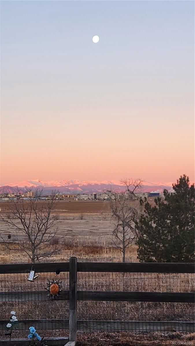 MLS Image #4 for 14685  williams street,thornton, Colorado