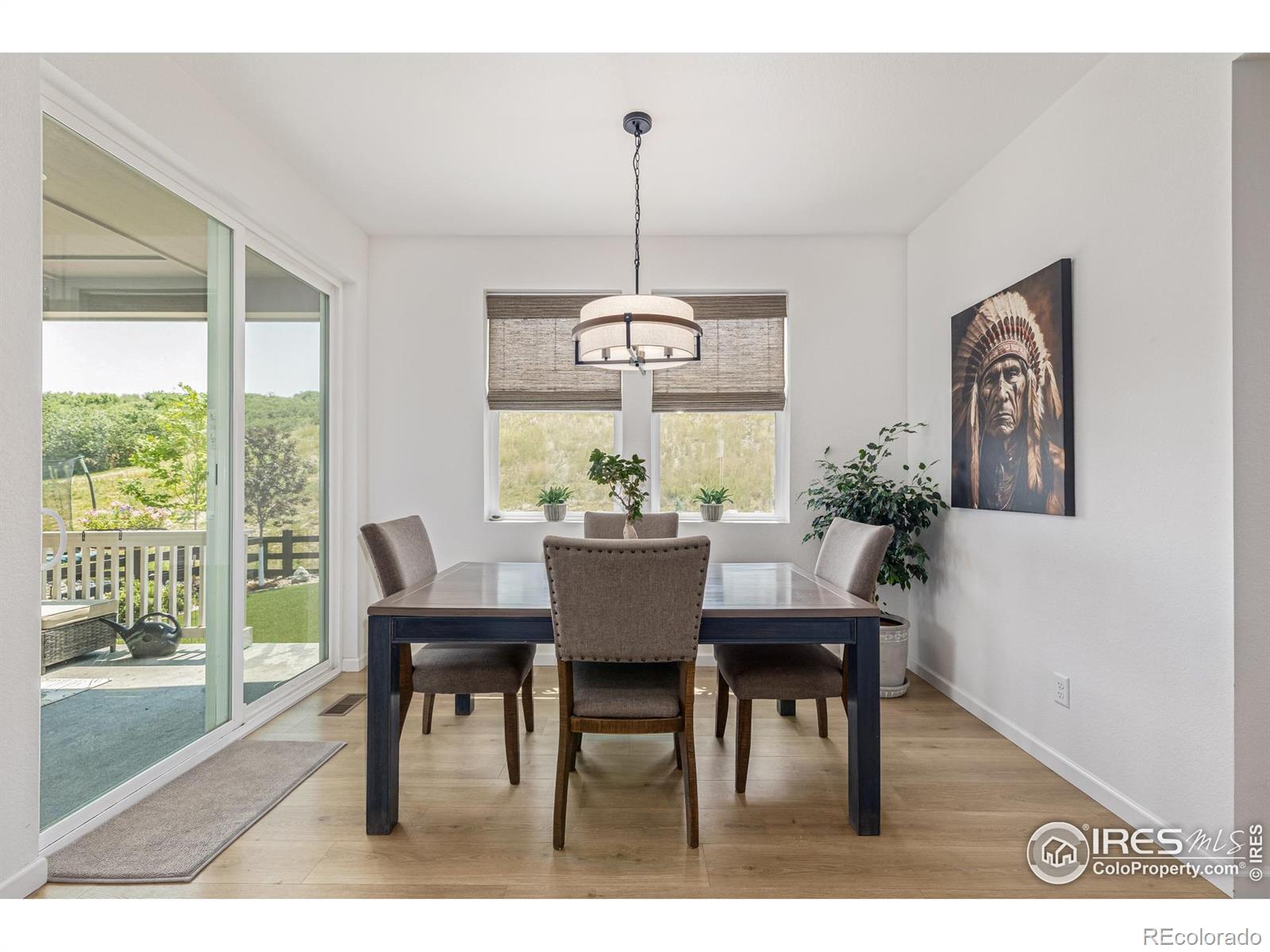 MLS Image #20 for 3624  rucksack court,castle rock, Colorado