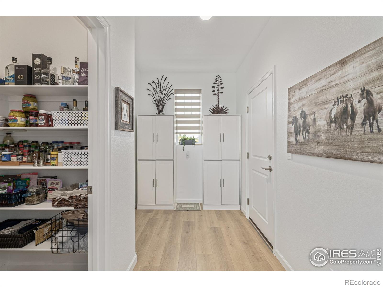 MLS Image #22 for 3624  rucksack court,castle rock, Colorado