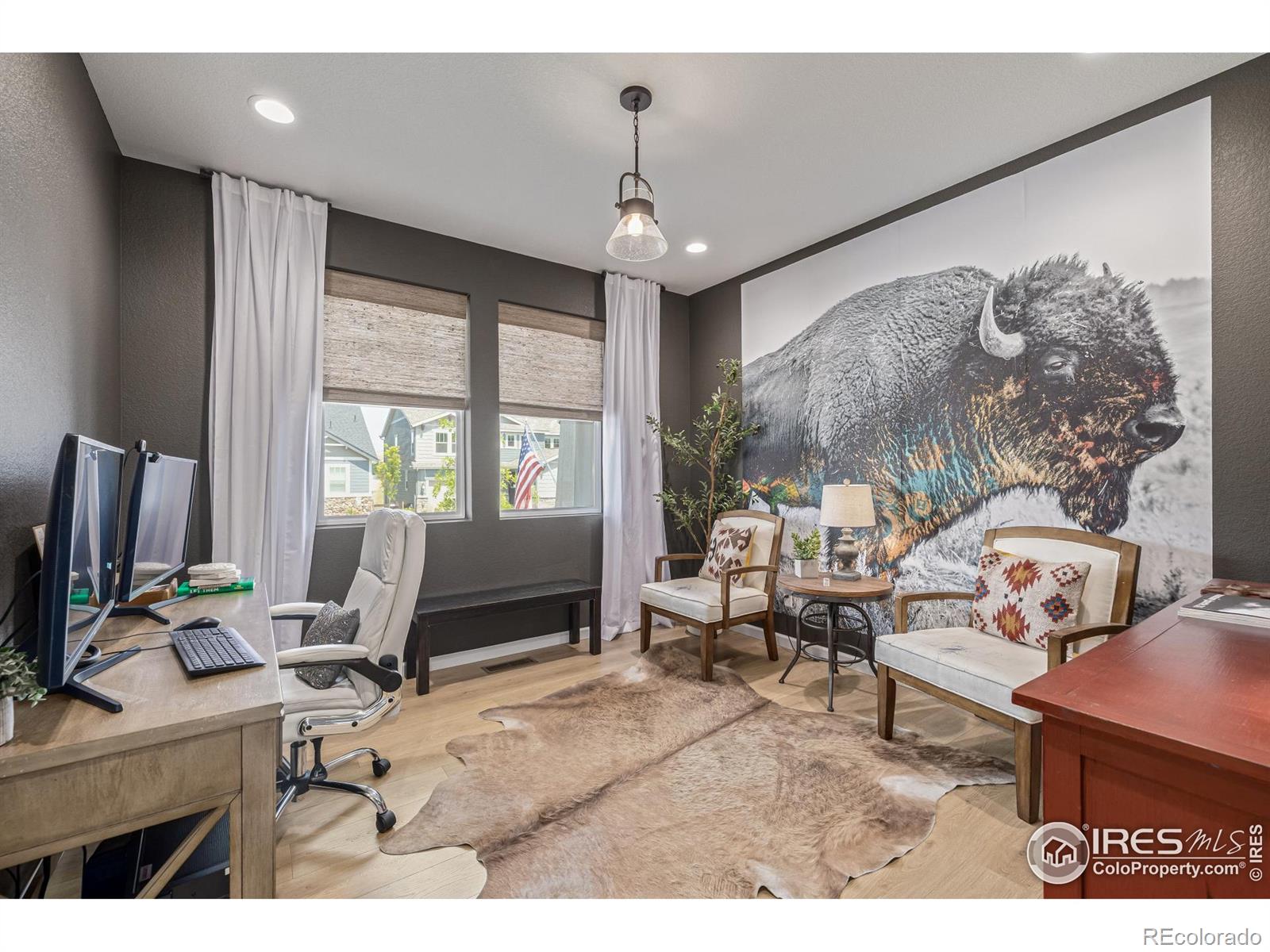 MLS Image #9 for 3624  rucksack court,castle rock, Colorado