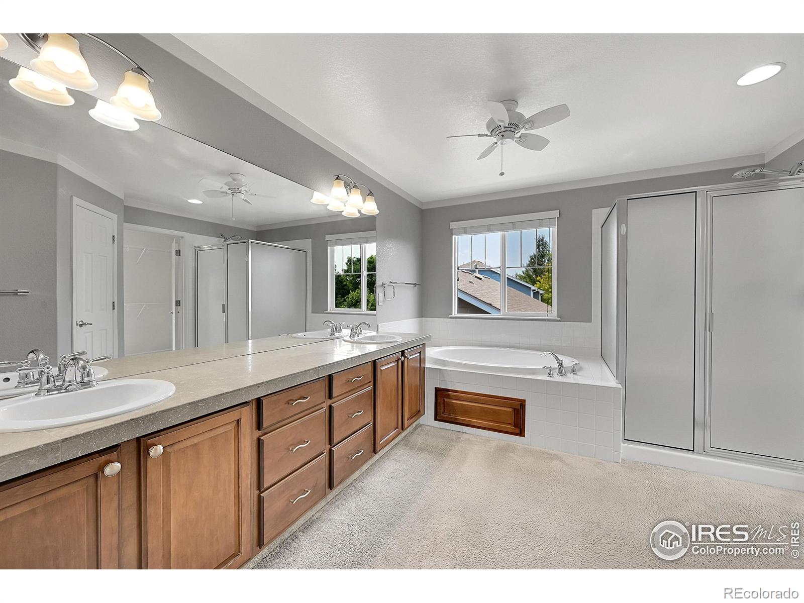 MLS Image #10 for 2683  pochard court,johnstown, Colorado