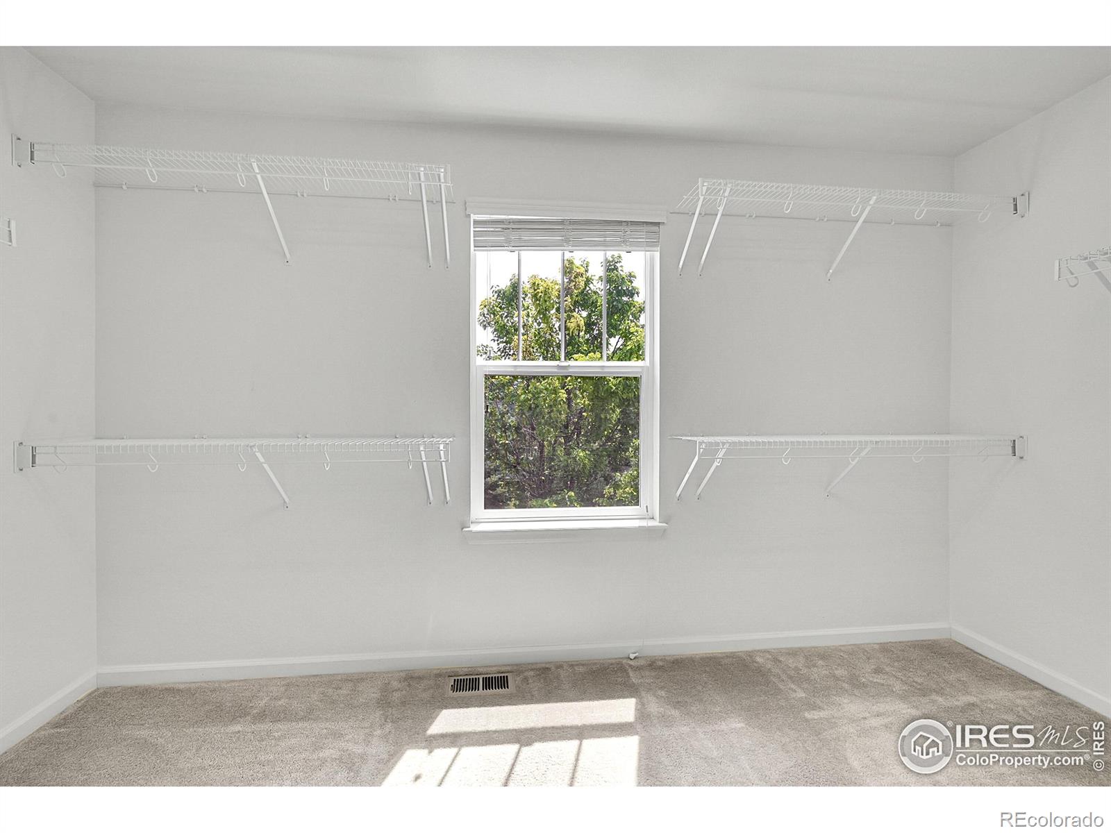 MLS Image #16 for 2683  pochard court,johnstown, Colorado