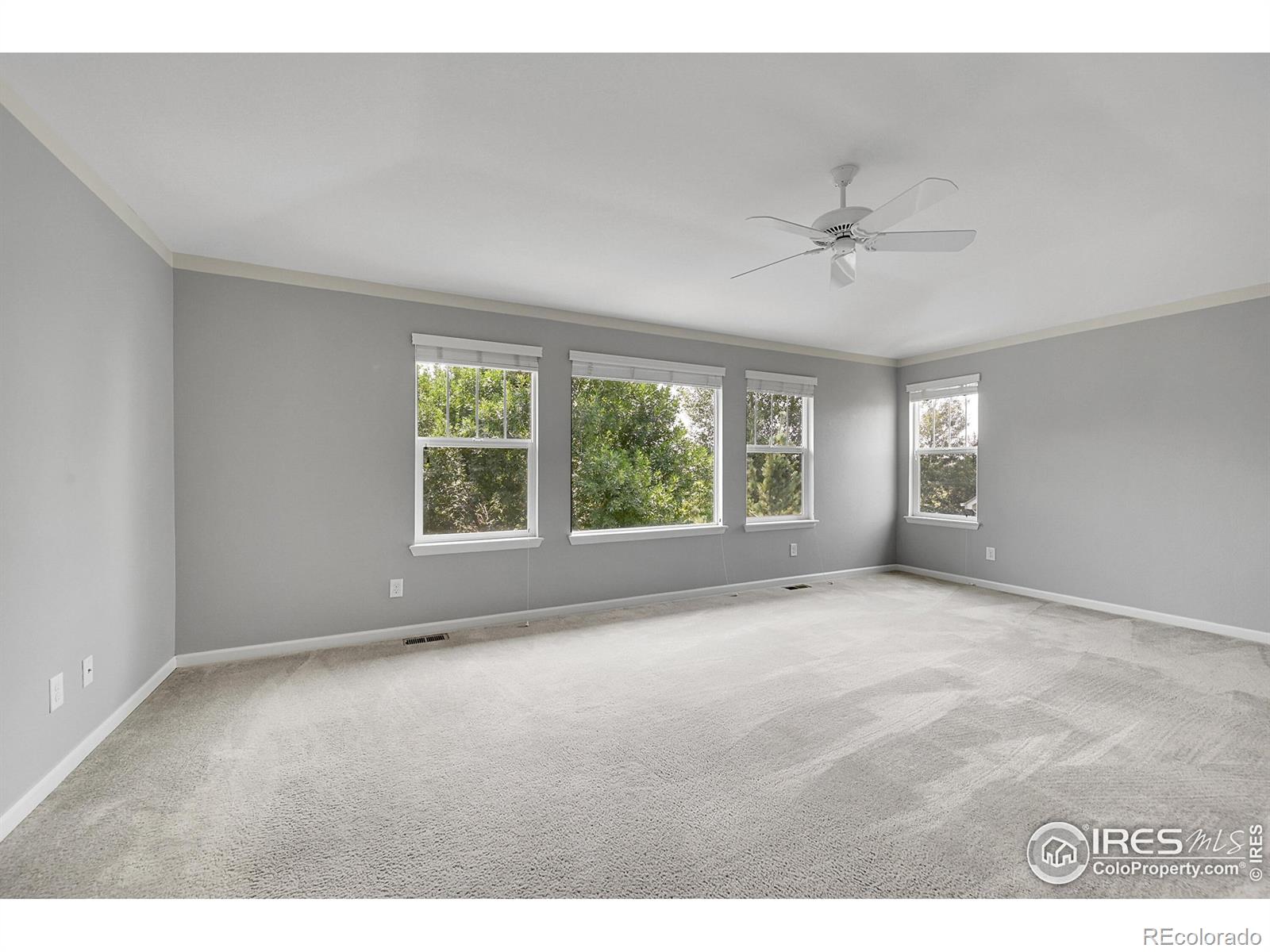 MLS Image #19 for 2683  pochard court,johnstown, Colorado