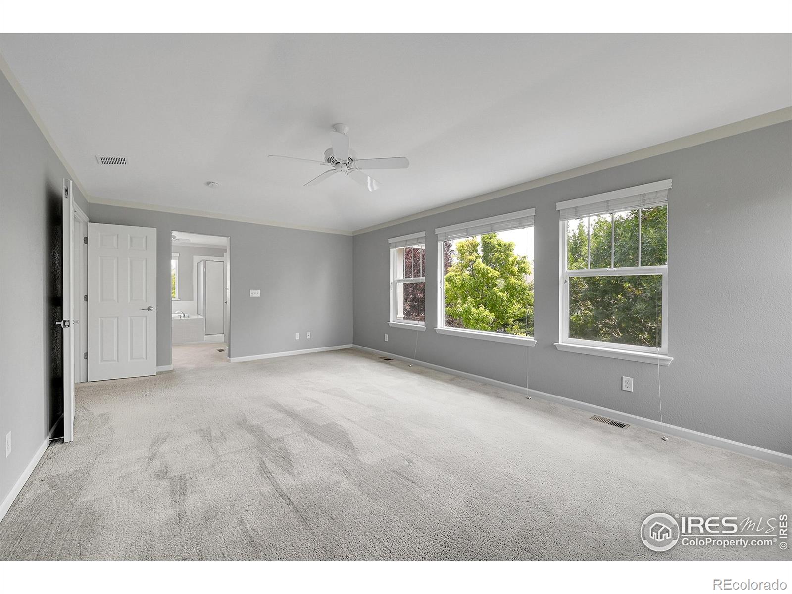 MLS Image #21 for 2683  pochard court,johnstown, Colorado
