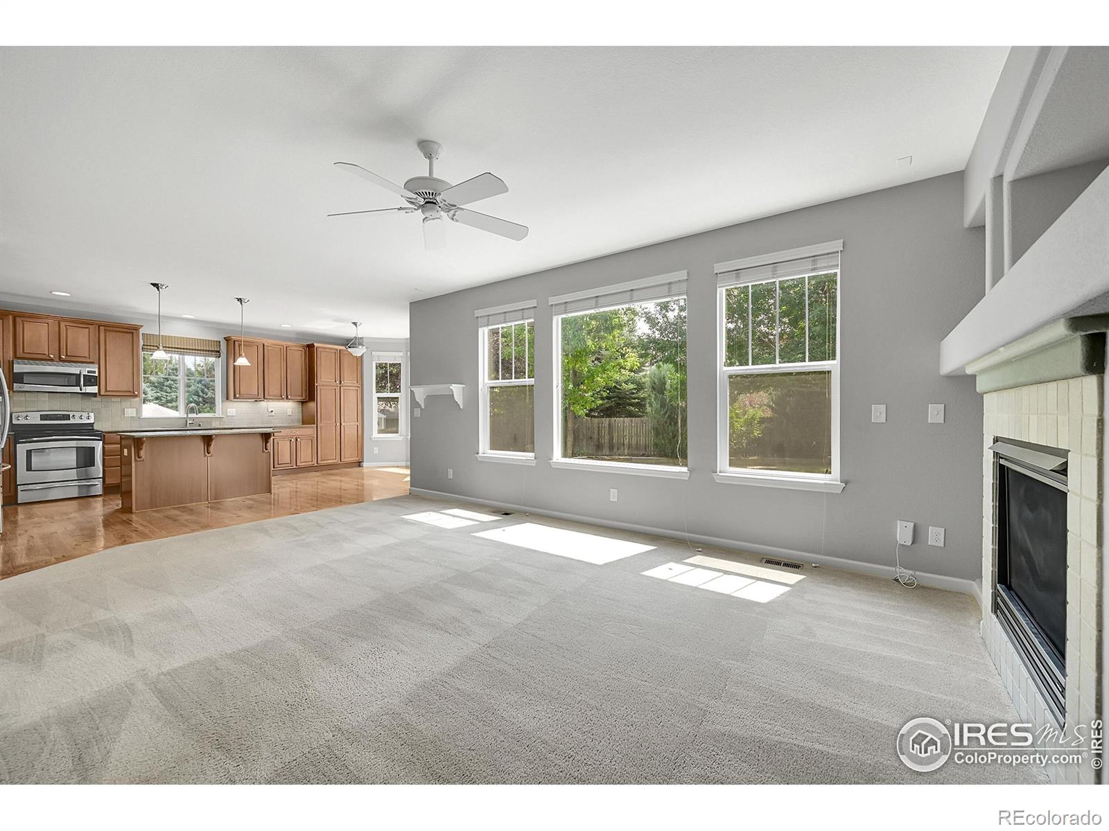 MLS Image #28 for 2683  pochard court,johnstown, Colorado