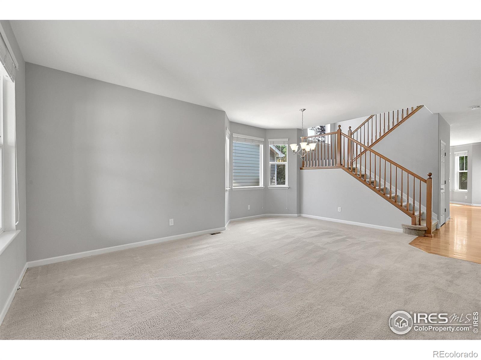 MLS Image #31 for 2683  pochard court,johnstown, Colorado