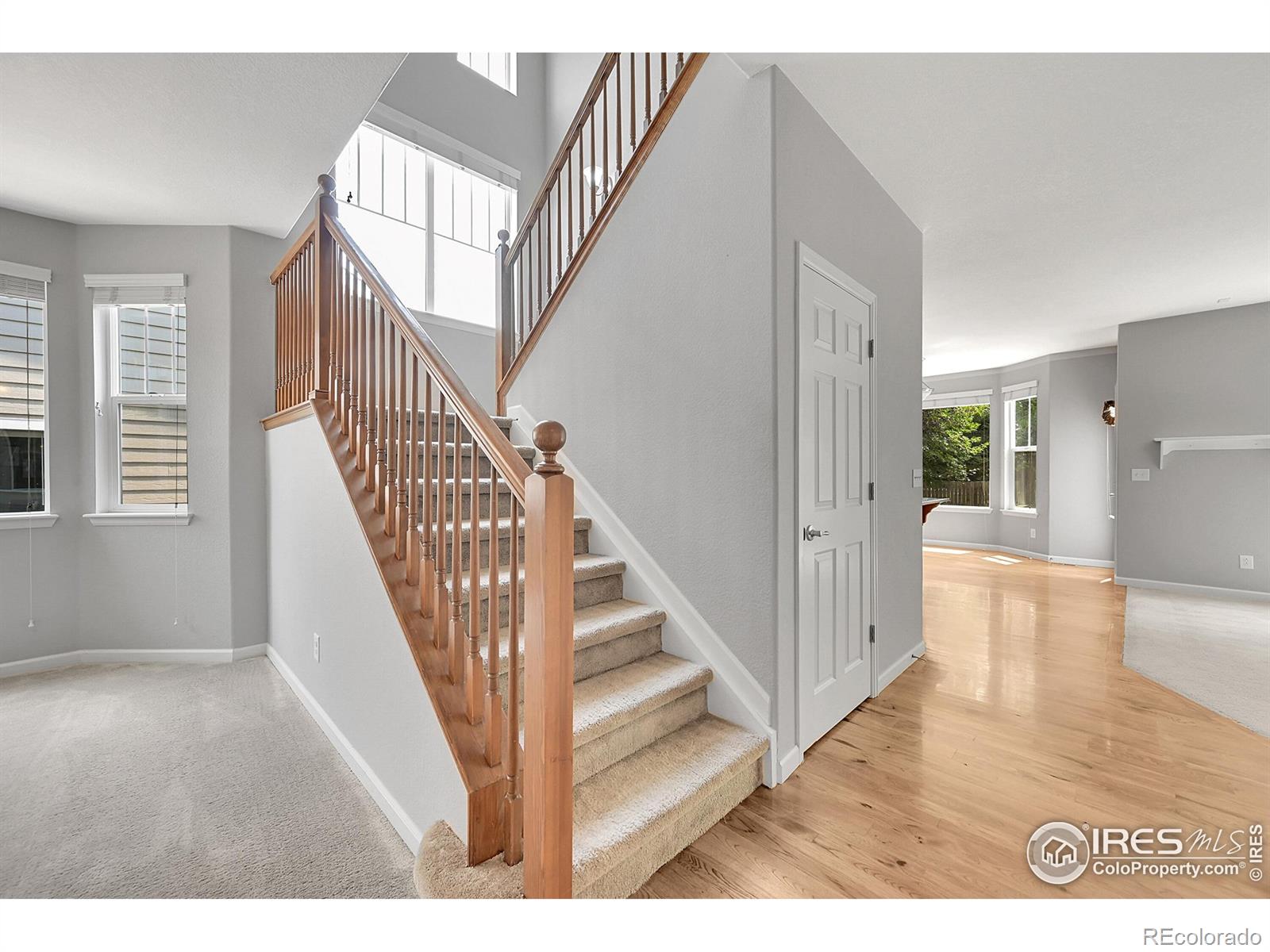 MLS Image #32 for 2683  pochard court,johnstown, Colorado