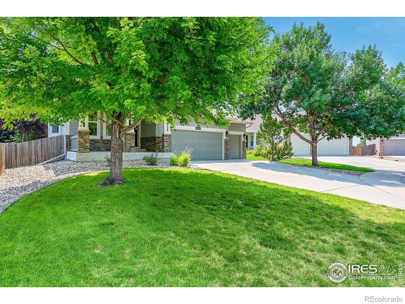 MLS Image #36 for 2683  pochard court,johnstown, Colorado