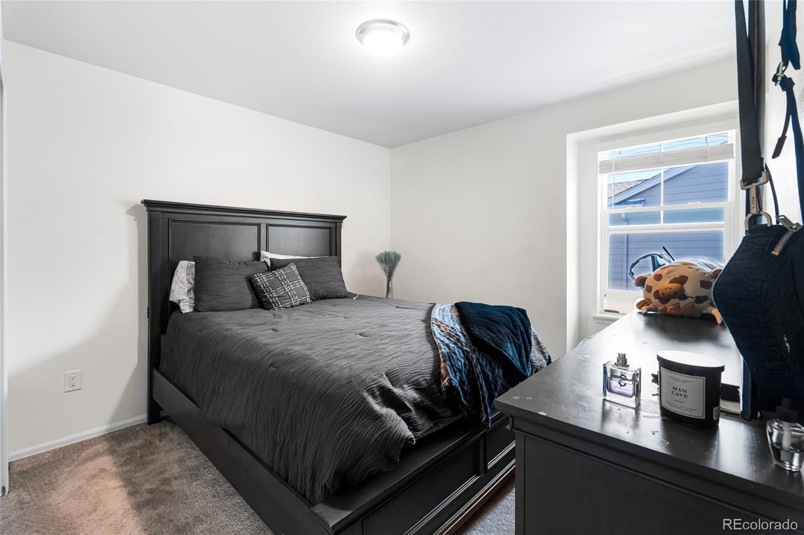MLS Image #19 for 11087  wheeling court,commerce city, Colorado